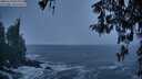 ./images/koeye/fitz-hugh/20260310/fitz-hugh20260310_080001M.jpg