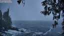 ./images/koeye/fitz-hugh/20260310/fitz-hugh20260310_081001M.jpg