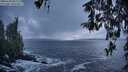 ./images/koeye/fitz-hugh/20260310/fitz-hugh20260310_081501M.jpg