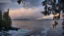 ./images/koeye/fitz-hugh/20260310/fitz-hugh20260310_083001M.jpg