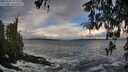 ./images/koeye/fitz-hugh/20260310/fitz-hugh20260310_094002M.jpg