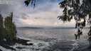 ./images/koeye/fitz-hugh/20260310/fitz-hugh20260310_095501M.jpg