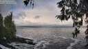 ./images/koeye/fitz-hugh/20260310/fitz-hugh20260310_100001M.jpg