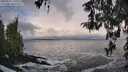 ./images/koeye/fitz-hugh/20260310/fitz-hugh20260310_100501M.jpg