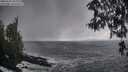 ./images/koeye/fitz-hugh/20260310/fitz-hugh20260310_104001M.jpg