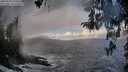 ./images/koeye/fitz-hugh/20260310/fitz-hugh20260310_104501M.jpg