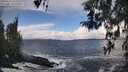 ./images/koeye/fitz-hugh/20260310/fitz-hugh20260310_110001M.jpg