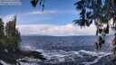 ./images/koeye/fitz-hugh/20260310/fitz-hugh20260310_111002M.jpg
