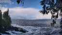 ./images/koeye/fitz-hugh/20260310/fitz-hugh20260310_112501M.jpg