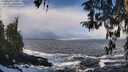 ./images/koeye/fitz-hugh/20260310/fitz-hugh20260310_113001M.jpg