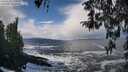./images/koeye/fitz-hugh/20260310/fitz-hugh20260310_123001M.jpg