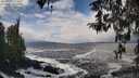 ./images/koeye/fitz-hugh/20260310/fitz-hugh20260310_124001M.jpg