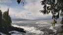 ./images/koeye/fitz-hugh/20260310/fitz-hugh20260310_125002M.jpg