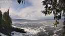 ./images/koeye/fitz-hugh/20260310/fitz-hugh20260310_125501M.jpg