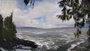 ./images/koeye/fitz-hugh/20260310/fitz-hugh20260310_130001M.jpg