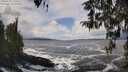 ./images/koeye/fitz-hugh/20260310/fitz-hugh20260310_130501M.jpg