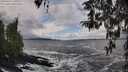 ./images/koeye/fitz-hugh/20260310/fitz-hugh20260310_131001M.jpg