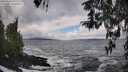 ./images/koeye/fitz-hugh/20260310/fitz-hugh20260310_132001M.jpg