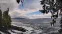./images/koeye/fitz-hugh/20260310/fitz-hugh20260310_132502M.jpg