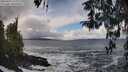 ./images/koeye/fitz-hugh/20260310/fitz-hugh20260310_133001M.jpg