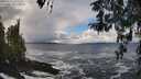 ./images/koeye/fitz-hugh/20260310/fitz-hugh20260310_133501M.jpg
