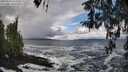 ./images/koeye/fitz-hugh/20260310/fitz-hugh20260310_134002M.jpg