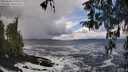 ./images/koeye/fitz-hugh/20260310/fitz-hugh20260310_134501M.jpg