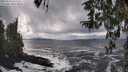./images/koeye/fitz-hugh/20260310/fitz-hugh20260310_143501M.jpg