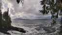 ./images/koeye/fitz-hugh/20260310/fitz-hugh20260310_144002M.jpg