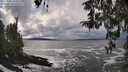 ./images/koeye/fitz-hugh/20260310/fitz-hugh20260310_144501M.jpg