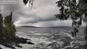 ./images/koeye/fitz-hugh/20260310/fitz-hugh20260310_150002M.jpg