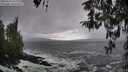 ./images/koeye/fitz-hugh/20260310/fitz-hugh20260310_152001M.jpg
