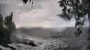 ./images/koeye/fitz-hugh/20260310/fitz-hugh20260310_154501M.jpg