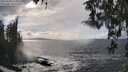 ./images/koeye/fitz-hugh/20260310/fitz-hugh20260310_155001M.jpg