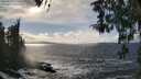 ./images/koeye/fitz-hugh/20260310/fitz-hugh20260310_155502M.jpg