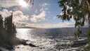 ./images/koeye/fitz-hugh/20260310/fitz-hugh20260310_160501M.jpg