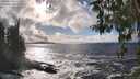 ./images/koeye/fitz-hugh/20260310/fitz-hugh20260310_161501M.jpg
