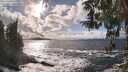 ./images/koeye/fitz-hugh/20260310/fitz-hugh20260310_162001M.jpg