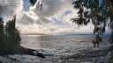 ./images/koeye/fitz-hugh/20260310/fitz-hugh20260310_163001M.jpg