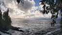 ./images/koeye/fitz-hugh/20260310/fitz-hugh20260310_163501M.jpg