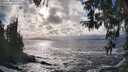 ./images/koeye/fitz-hugh/20260310/fitz-hugh20260310_164001M.jpg