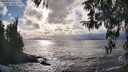 ./images/koeye/fitz-hugh/20260310/fitz-hugh20260310_164501M.jpg