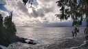 ./images/koeye/fitz-hugh/20260310/fitz-hugh20260310_165002M.jpg