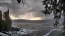 ./images/koeye/fitz-hugh/20260310/fitz-hugh20260310_171501M.jpg
