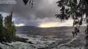 ./images/koeye/fitz-hugh/20260310/fitz-hugh20260310_173501M.jpg