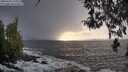 ./images/koeye/fitz-hugh/20260310/fitz-hugh20260310_180001M.jpg