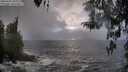 ./images/koeye/fitz-hugh/20260310/fitz-hugh20260310_182501M.jpg