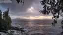 ./images/koeye/fitz-hugh/20260310/fitz-hugh20260310_192501M.jpg