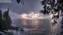./images/koeye/fitz-hugh/20260310/fitz-hugh20260310_194001M.jpg