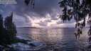 ./images/koeye/fitz-hugh/20260310/fitz-hugh20260310_194501M.jpg